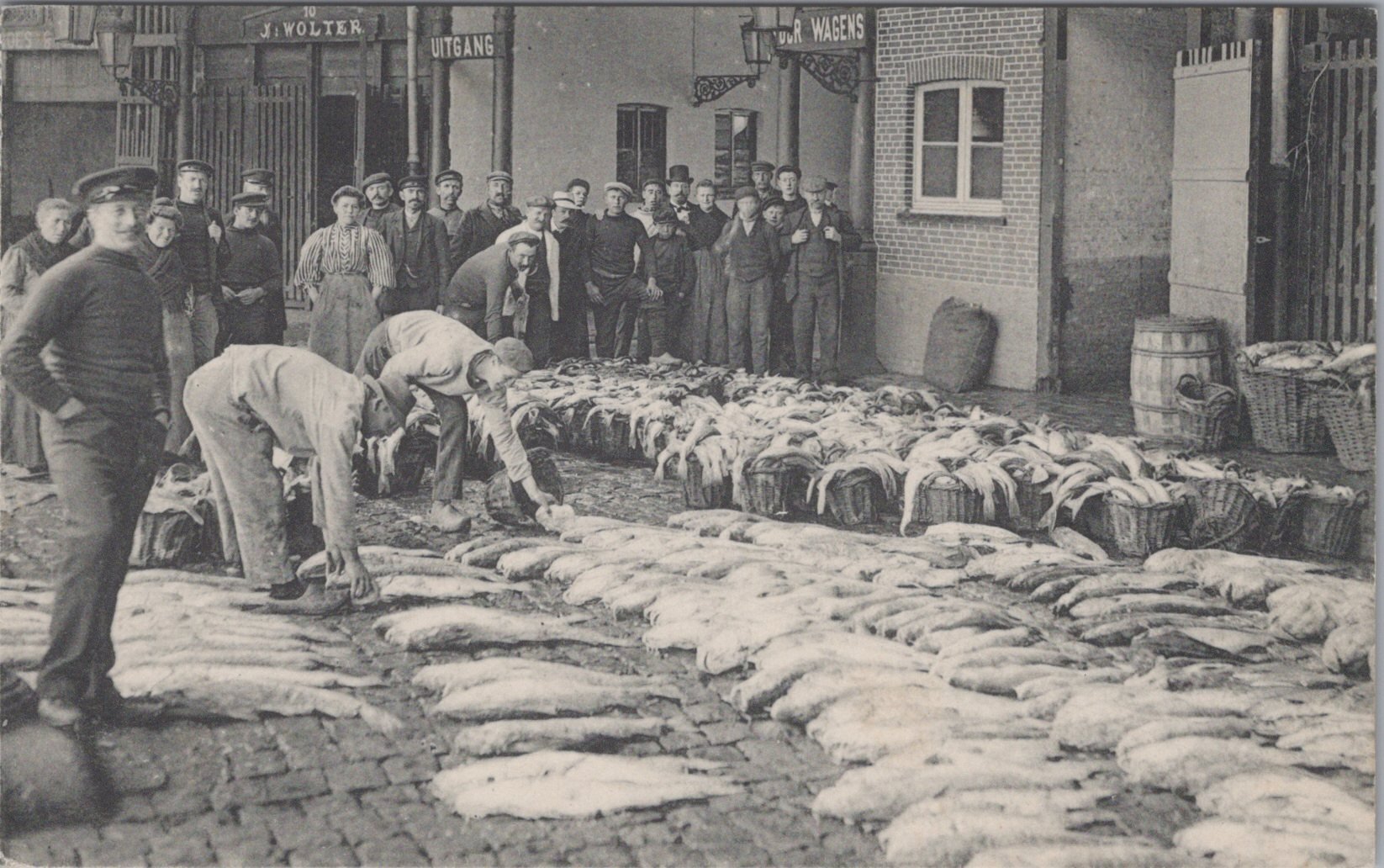 /Belgium/Places/BE_Profession_1900-1961_Ostende fish market.jpg